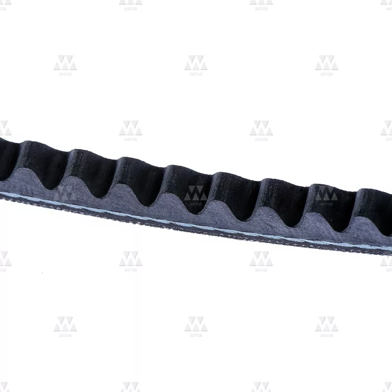 3201059016 | TOOTHED MODEL AVX V-BELT
